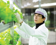 가톨릭관동대학교국제성모병원, “친환경 채소, 직접 병원에서 안전하게 키워 환자에게 공급합니다”