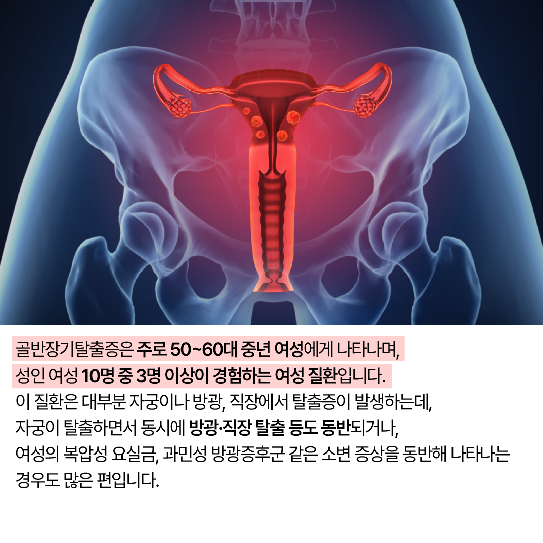%20%20%20%20%20%20%203.png