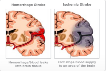 20140213_52fc364df4000.png