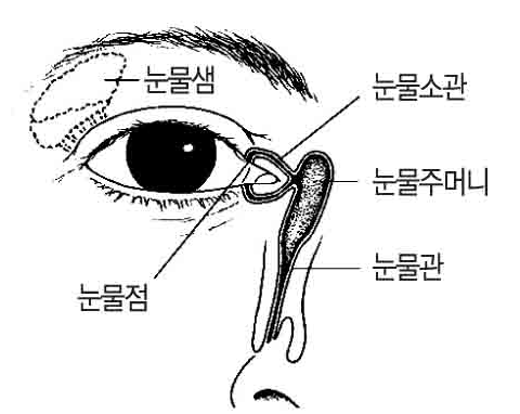 20140213_52fc5edd845ba.png