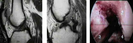 20140214_52fda0c45d5dd.png